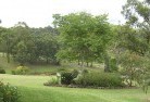 Montmorencyresidential-landscaping-40.jpg; ?>